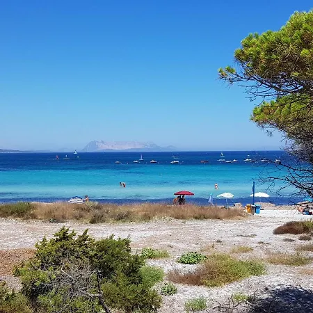 דירה Viola By Interhome טנאונלה