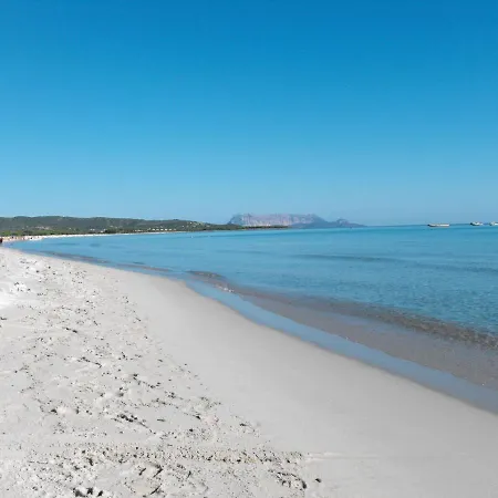 Viola By Interhome דירה *